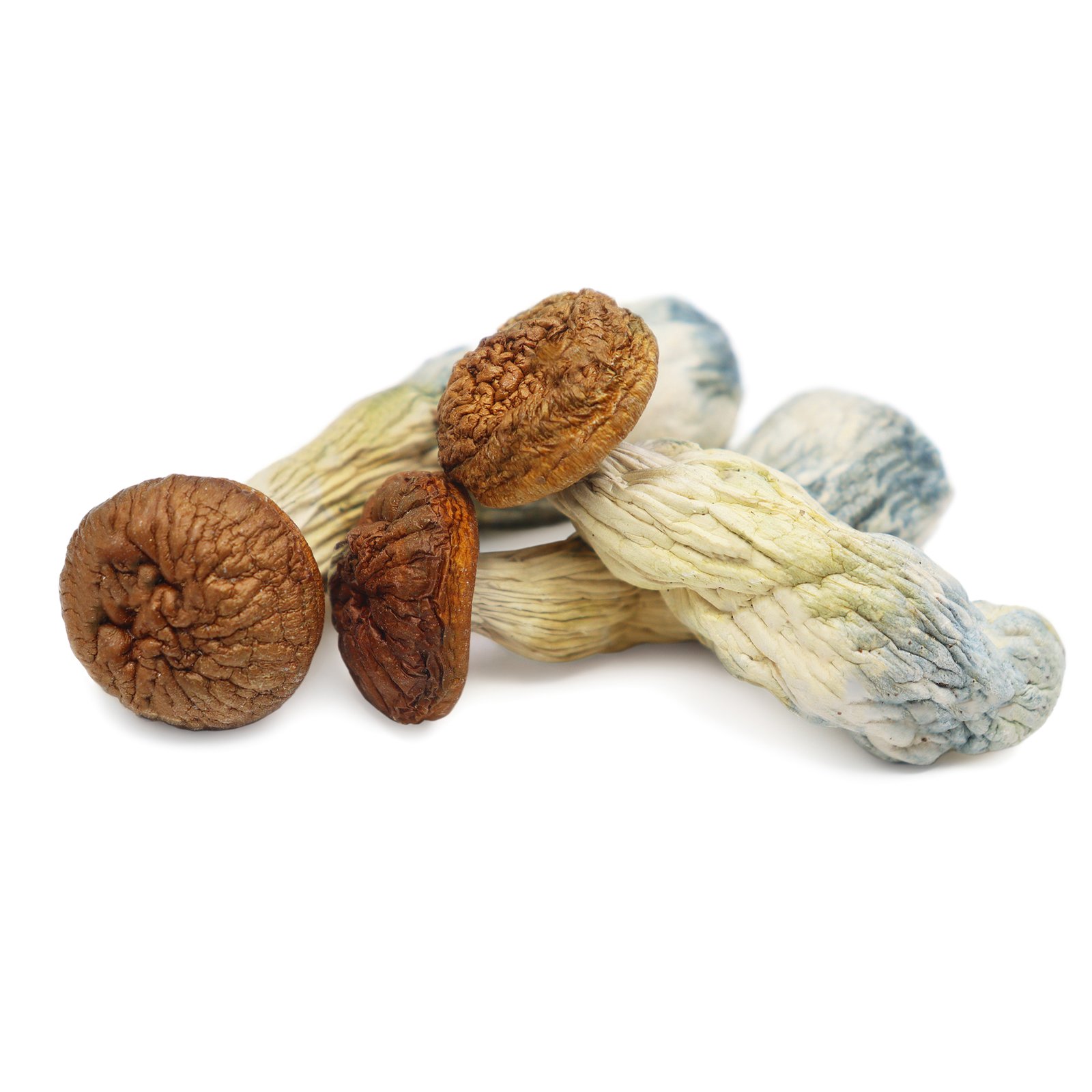 Where To Buy Magic Mushrooms Where To Buy Magic Mushrooms