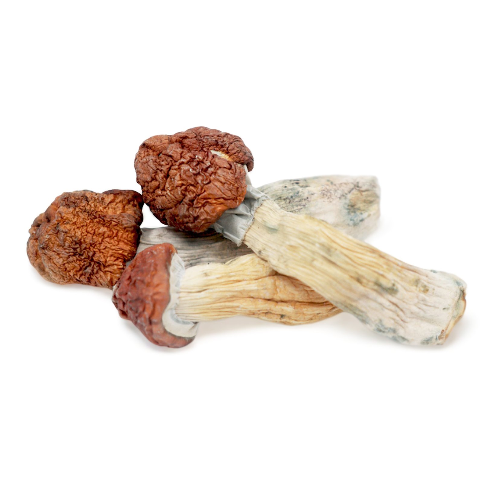 TidalWave Tidal Wave Magic Mushrooms - Image 1